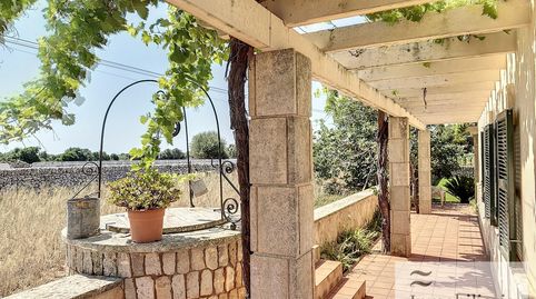 OL26  Exclusiva finca rústica Cerca de Binidalí