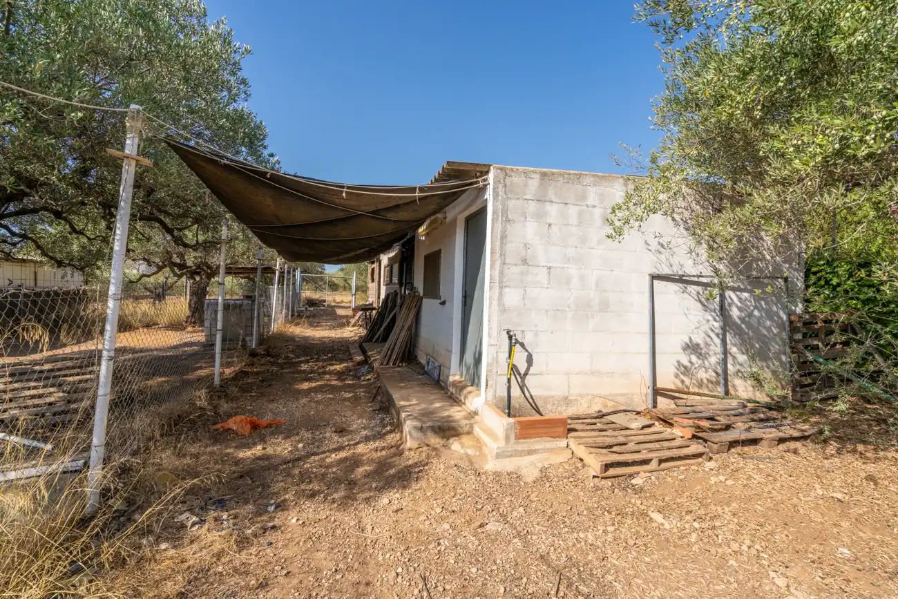Terreno rustico in vendita a Camí de Codonyol 181, imagen 28