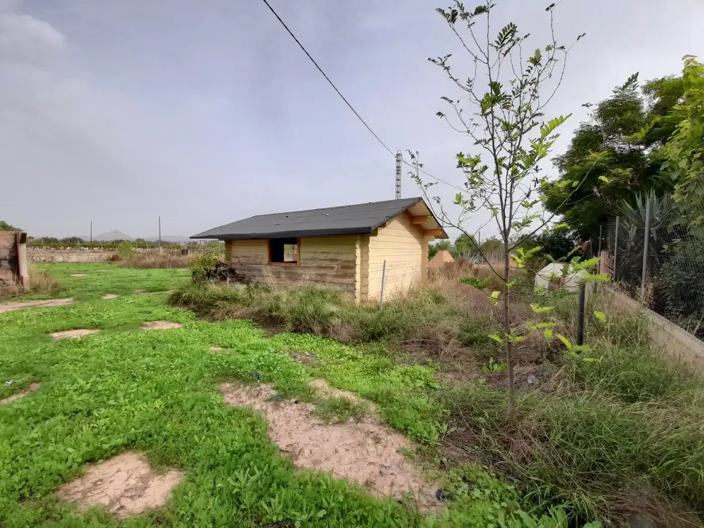 Casa o xalet en venda en Novelda amb Terrassa i Alarma