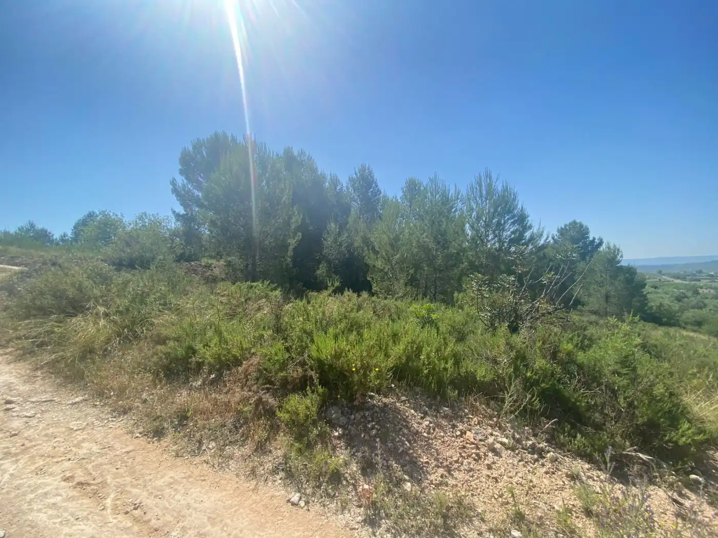 Terreno rustico in vendita a POLÍGONO 10 PARCELA 493, imagen 17
