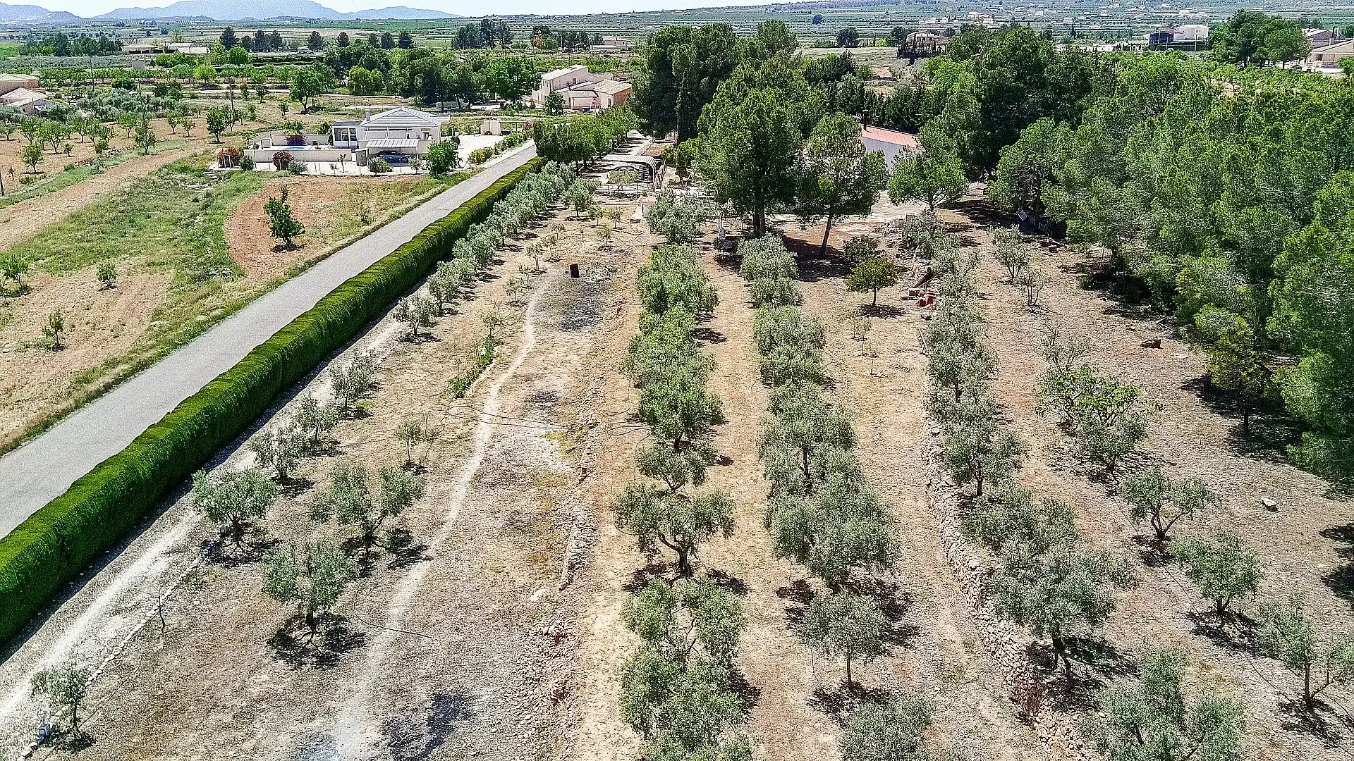Casa rústica en venta en El Pinós / Pinoso, imagen 5