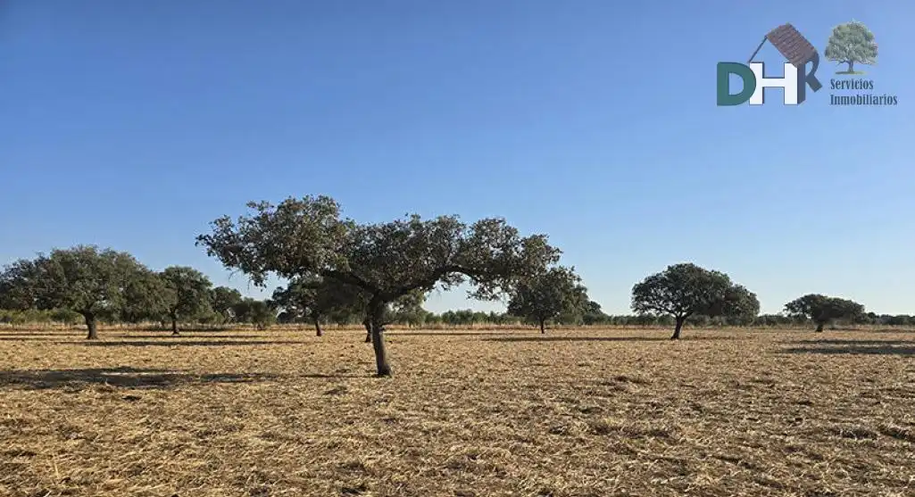 Terreni e lotti in vendita a Dehesilla de Calamón - Campomanes