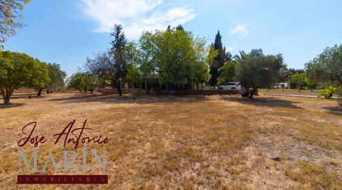 Foto 3 de Casa o xalet en venda a Avenida Campofrío II, Carretera de Sevilla - Los Montitos, Badajoz