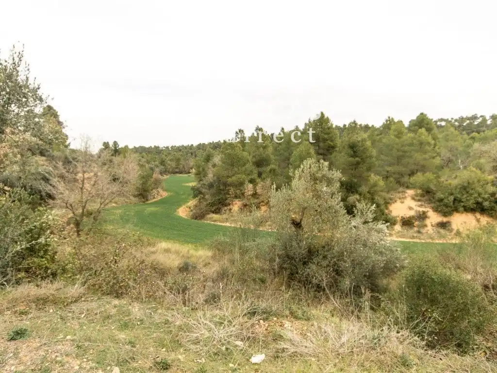 Finca rústica en venda a V6P8+CX, Cretas