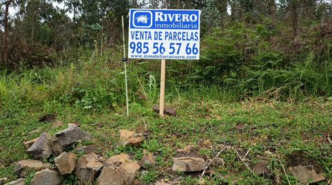 La Laguna (Illas) parcela edificable 50.000 €