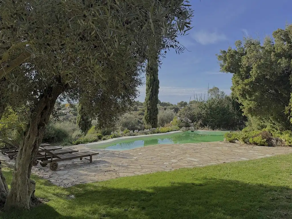 Jardín de Casa o chalet en venta en Chinchón con Jardín privado, Terraza y Piscina