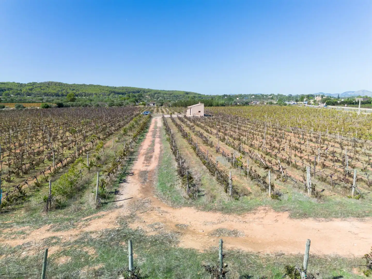 Terreno rustico in vendita a Camino POLIGONO 5, imagen 28