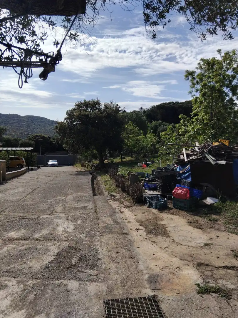 Aparcament de Casa o xalet en venda en Tarifa amb Aire condicionat, Jardí privat i Parquet