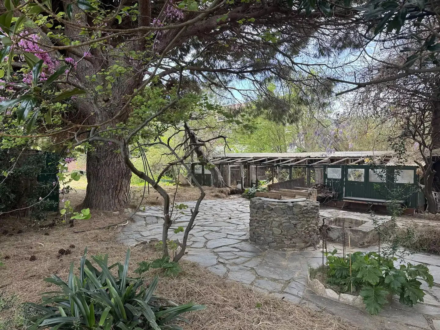 Jardín de Casa o chalet en venta en Colera con Jardín privado y Terraza
