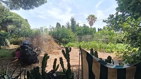 Photo 2 of Land for sale in Camino 898, El Juncal - Vallealto, El Puerto de Santa María