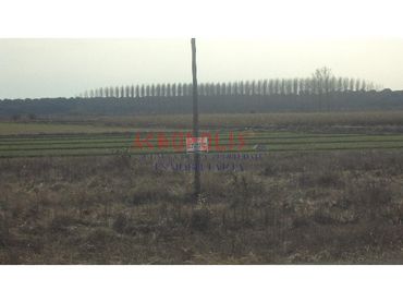 Terreno rustico in vendita a Polígono 27 Parcela 220 SANTA CRISTINA DE LA POLVOROSA (ZAMORA)