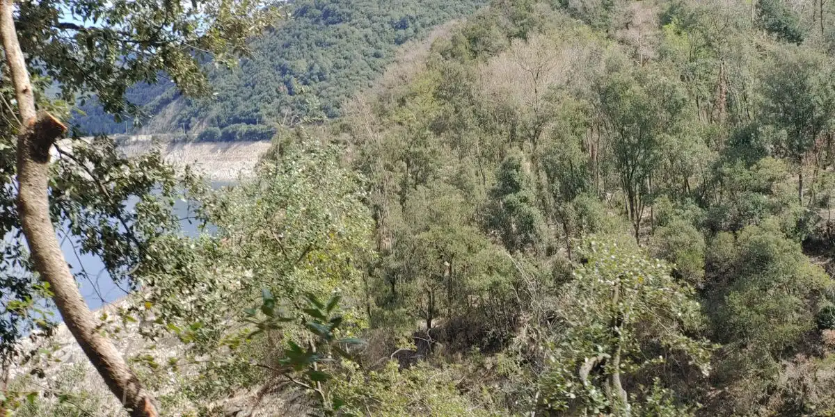 Residencial en venda en Susqueda
