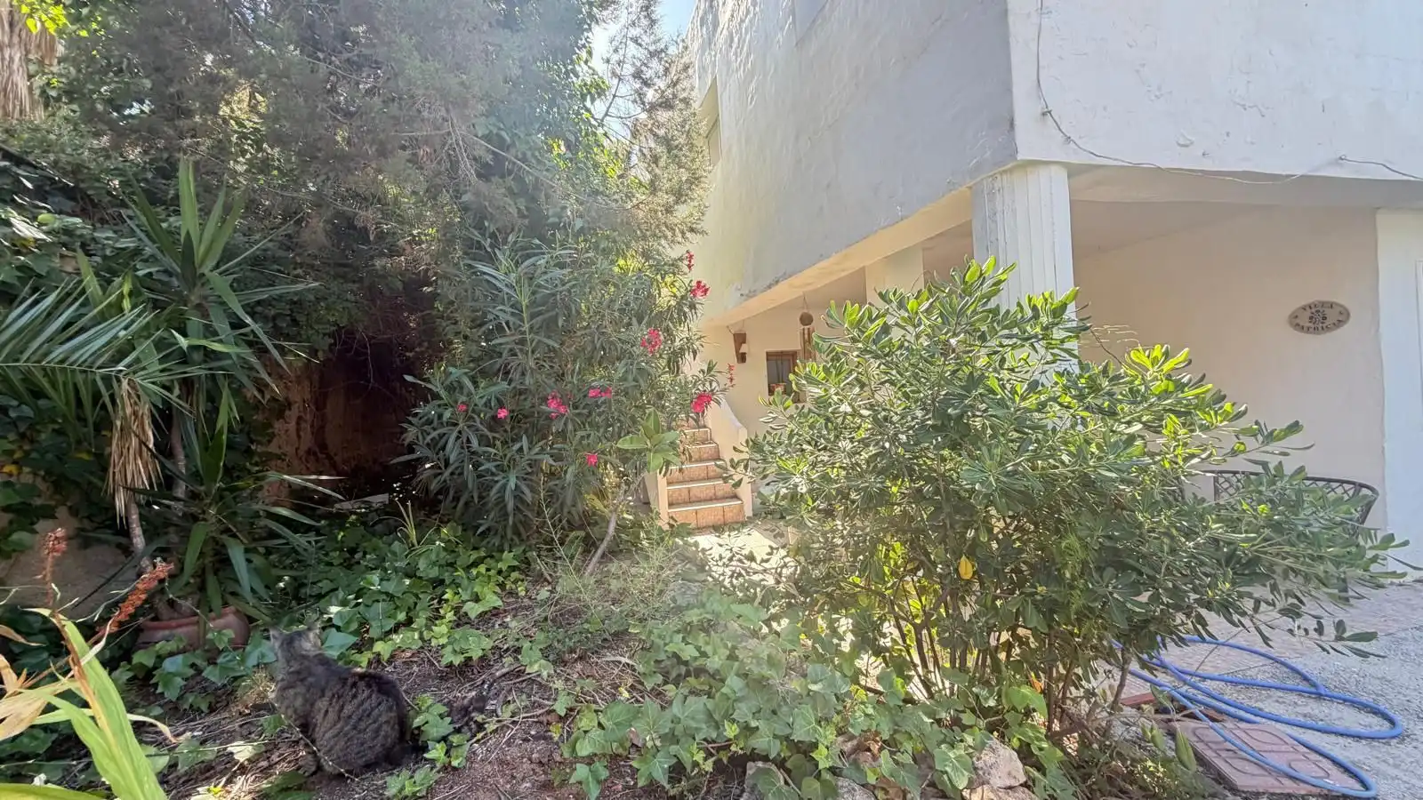 Garden of Houses for sale in Sant Josep de sa Talaia  with Private garden and Swimming Pool