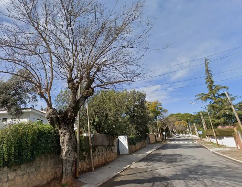 Vista exterior de Casa o xalet en venda en Córdoba amb Jardí privat i Piscina