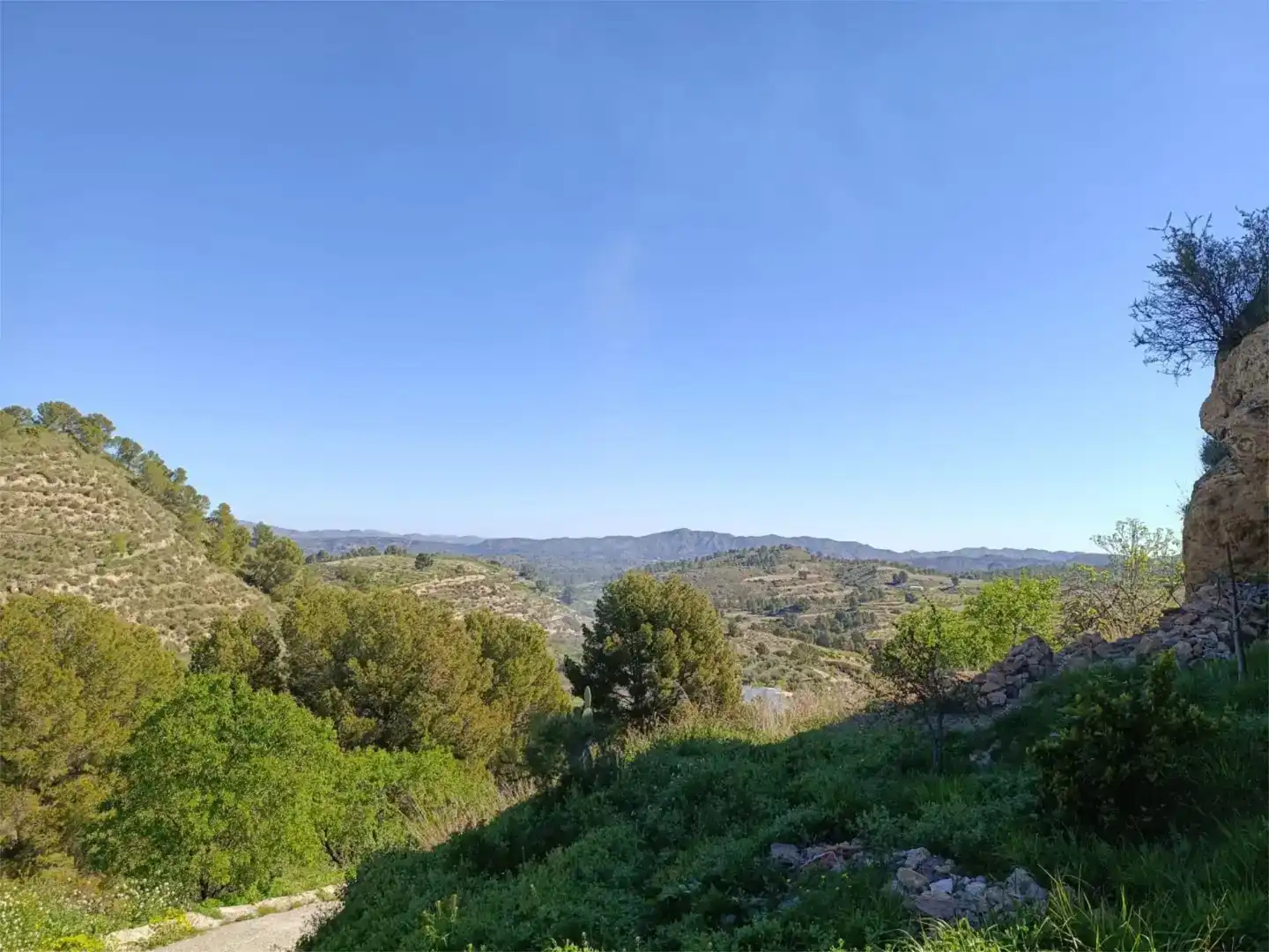 Flat for sale in Socovos