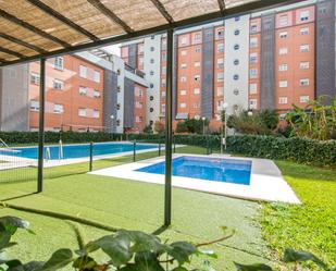 Swimming pool of Flat to rent in  Sevilla Capital  with Air Conditioner, Heating and Parquet flooring