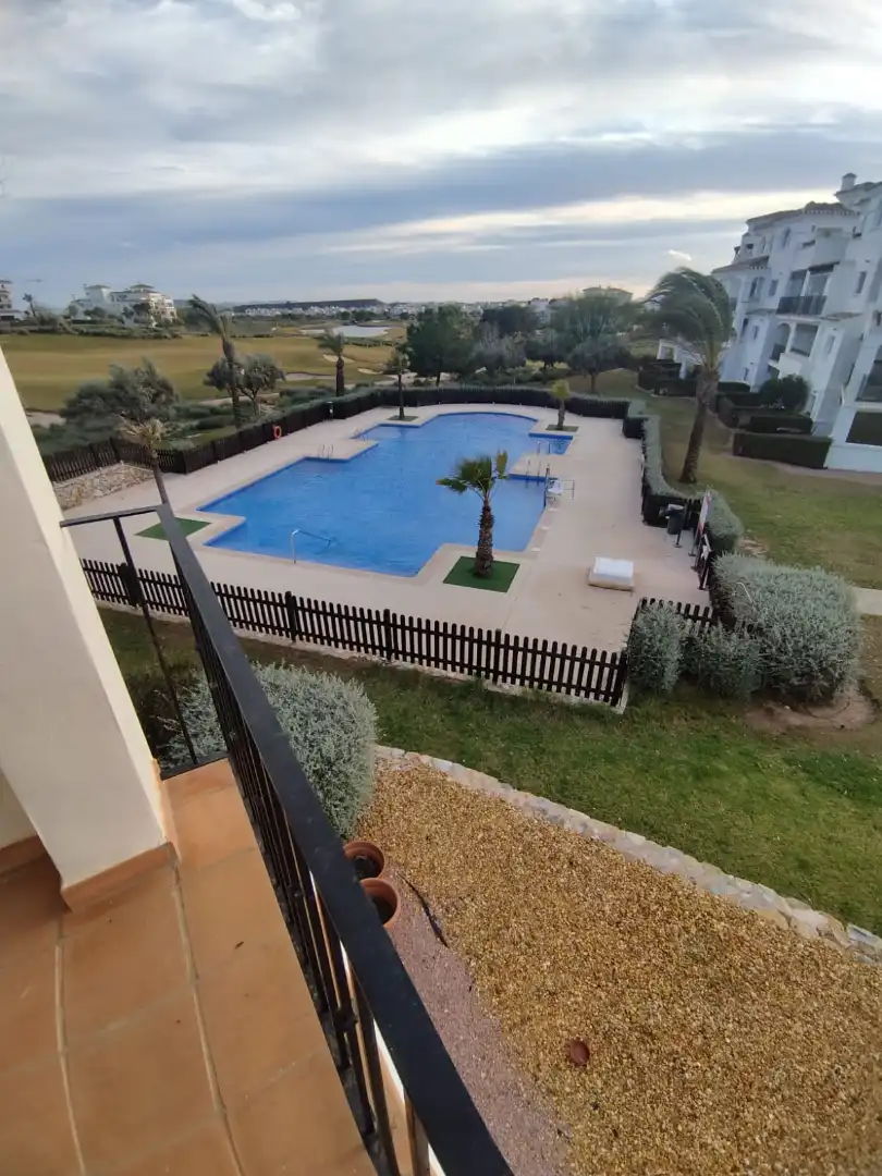 Swimming pool of Apartments for rent in Murcia  with Air Conditioner, Terrace and Furnished