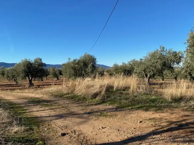 Terreno rustico in vendita a Sonseca, imagen 8
