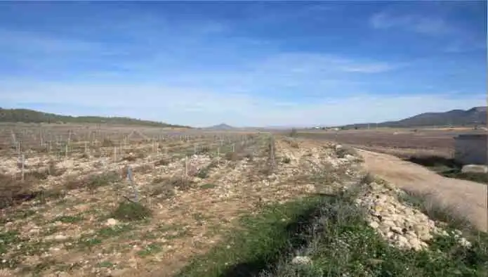 Rural land for sale in Pd Alciri, imagen 16