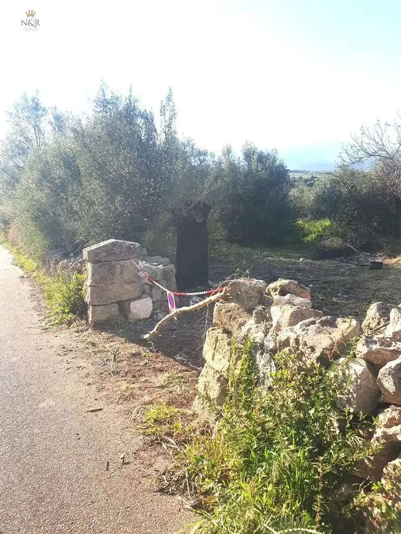 Rustikales Grundstück zum Verkauf in Muro, imagen 4