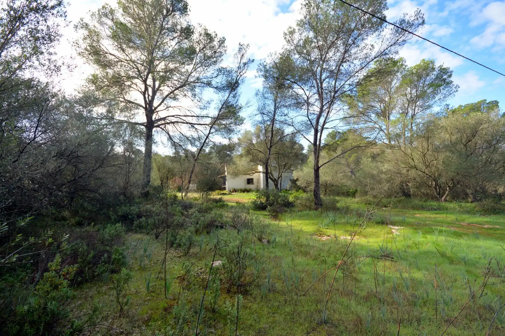 Country house with pool for sale in Camino Hostal de Sa Creu, imagen 8