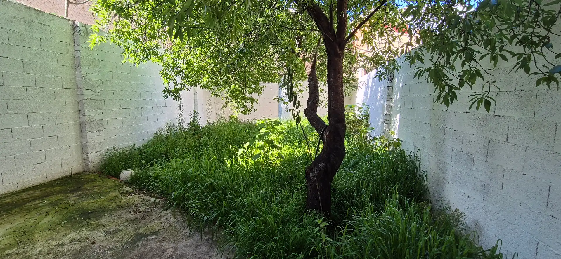 Jardí de Casa o xalet en venda en Bellreguard amb Aire condicionat, Calefacció i Jardí privat