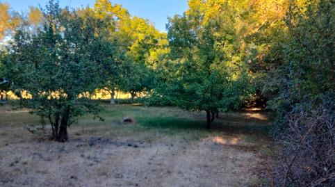 Foto 3 de Casa o chalet en venta en Villadiego, Burgos