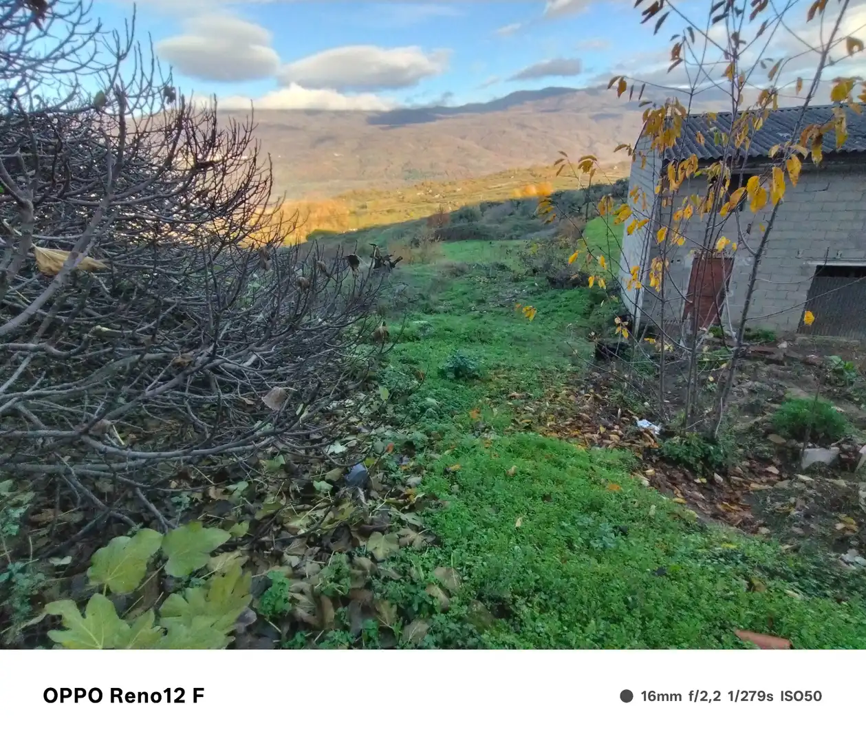 Finca rústica en venda en Casas del Castañar