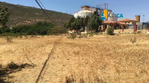 Foto 2 de Terreno en venta en El Zabal - Santa Margarita, La Línea de la Concepción