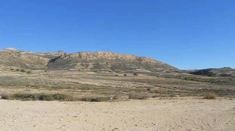 Photo 3 of Land for sale in Hacienda el Sabinar Partida de Boqueres Pol 2 Parc, -1, Villamontes - Boqueres, Alicante