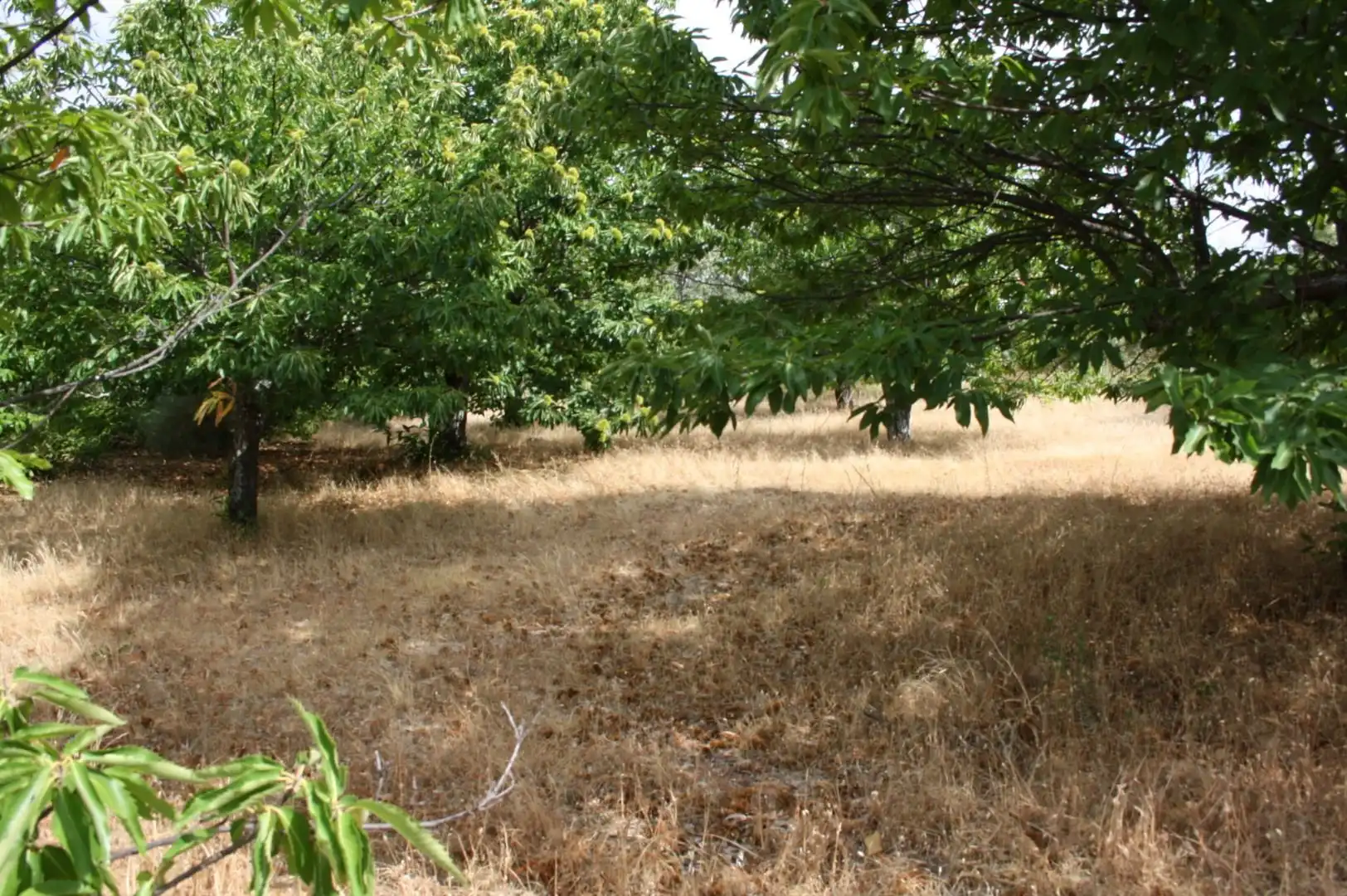 Terreno industrial en venta en Piornal