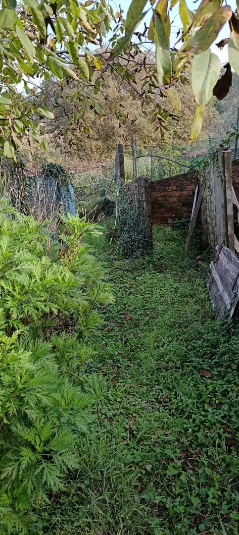 Maison à vendre à Catoira, imagen 30