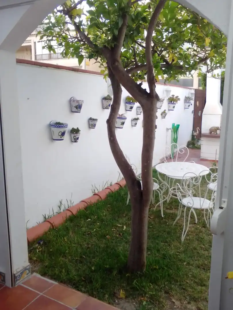 Garden of Houses for sale in Cambrils  with Air Conditioner, Heating and Private garden