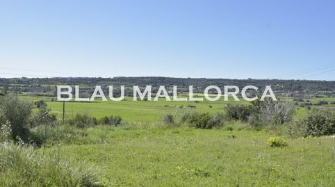 Foto 5 de Finca rústica en venta en Manacor Centre, Manacor