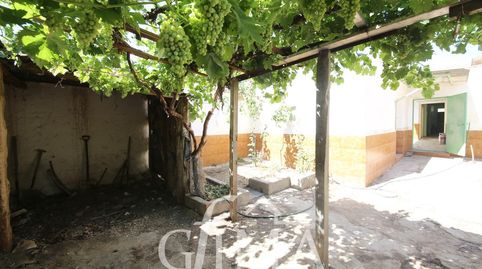 Foto 3 de Casa o chalet en venta en Argamasilla de Alba, Ciudad Real