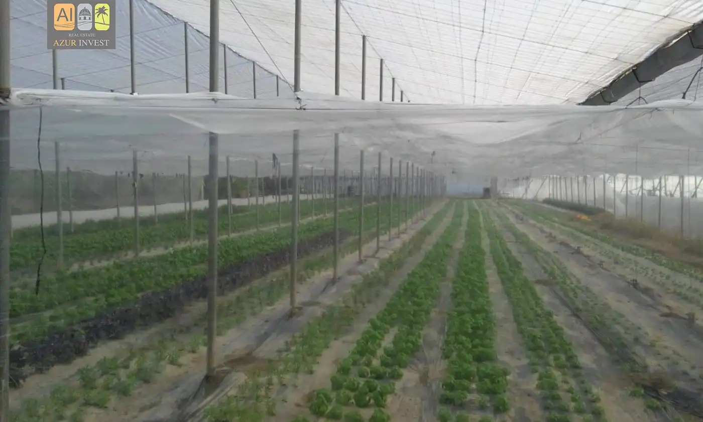 Finca rústica en venda a El Secanet - Hacienda del Sol