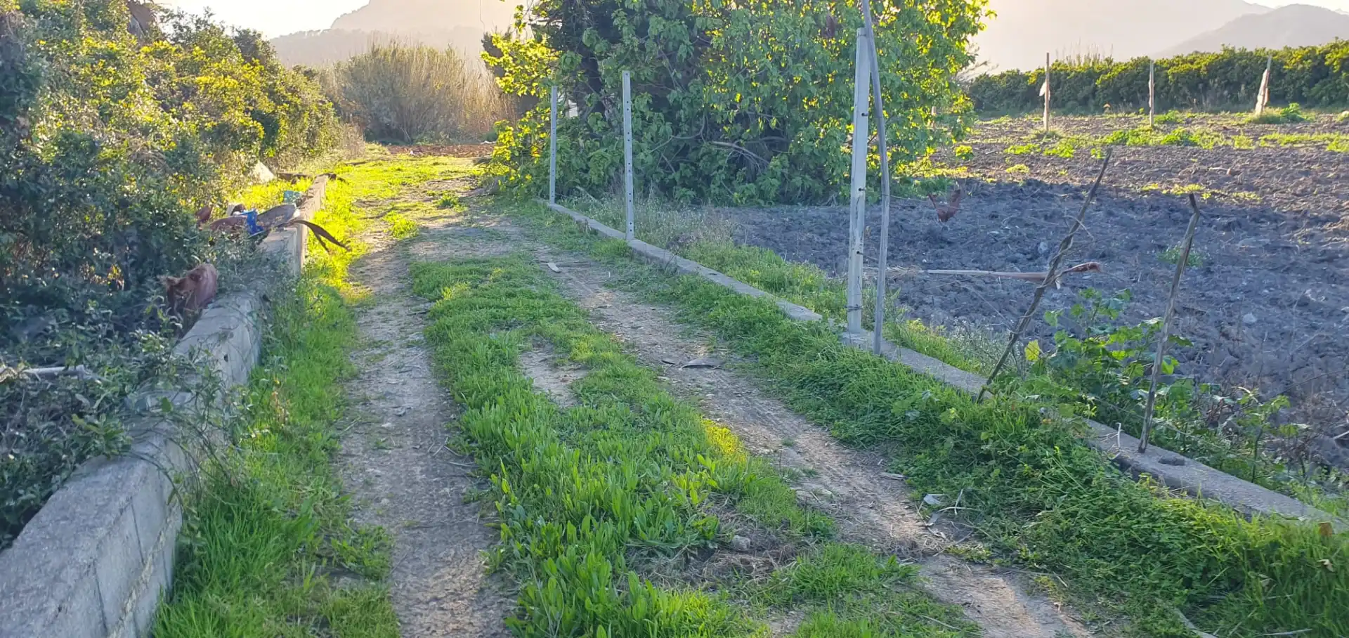 Country homes for sale in Tavernes de la Valldigna