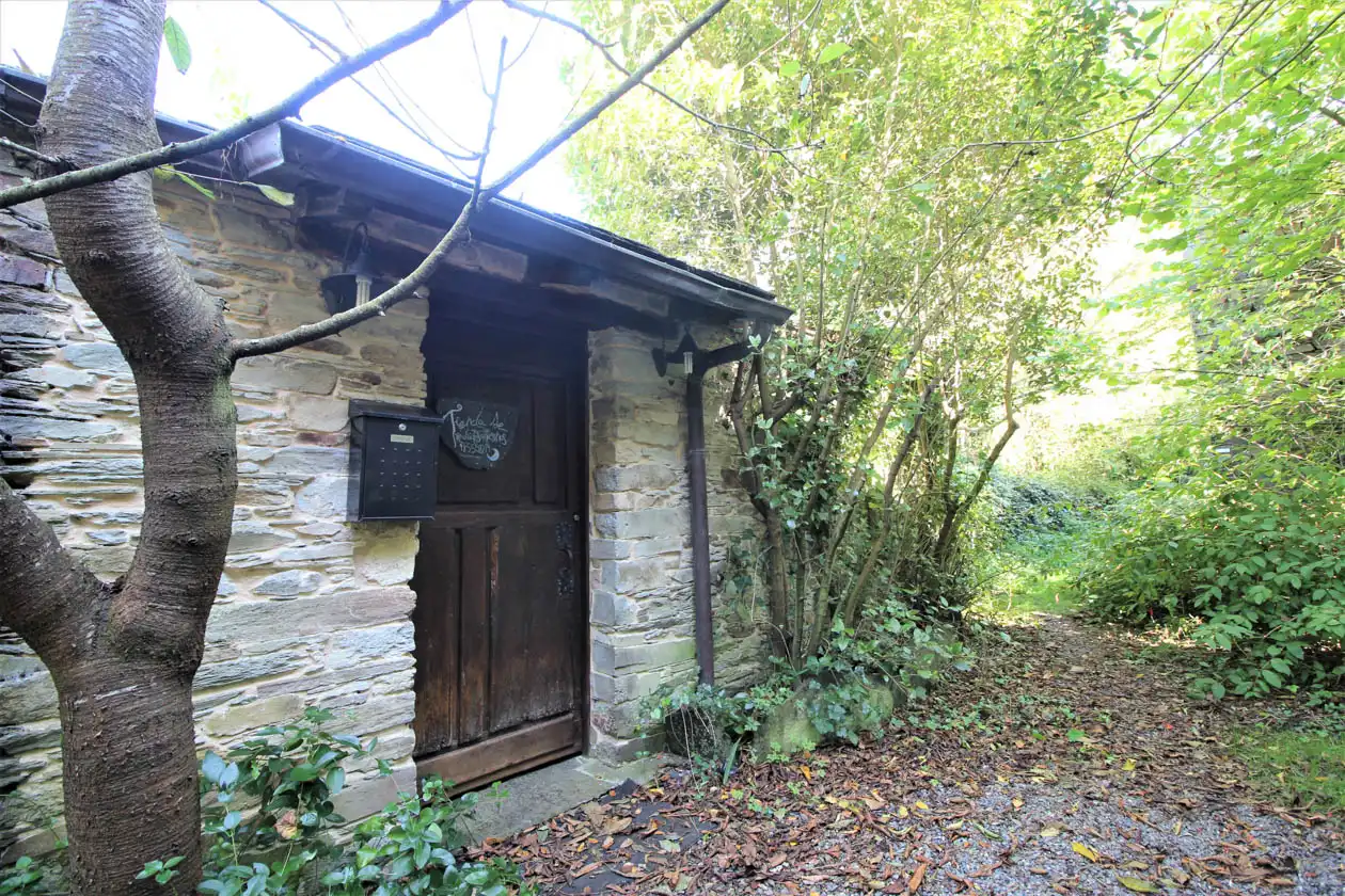 Vista exterior de Casa o chalet en venta en A Pontenova   con Jardín privado