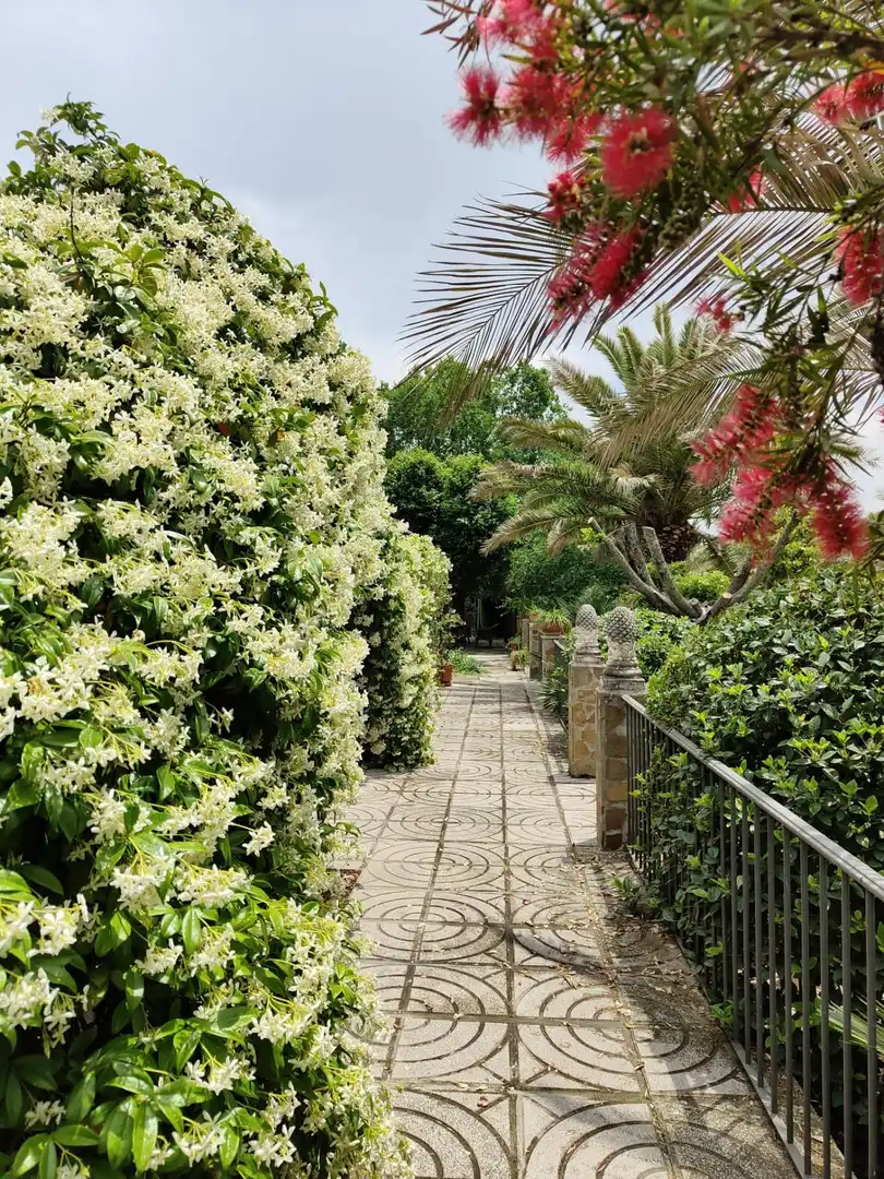Jardín de Casa o chalet en venta en Brazatortas con Aire acondicionado, Calefacción y Jardín privado