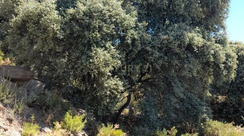 Photo 3 of Houses for sale in 2x7v+qw Laroles, Spain, 1, Nevada, Granada