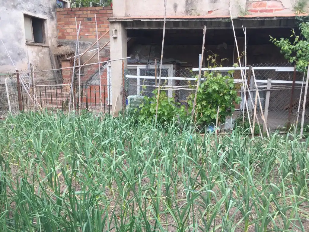 Jardín de Finca rústica en venta en Esparreguera con Jardín privado, Terraza y Trastero
