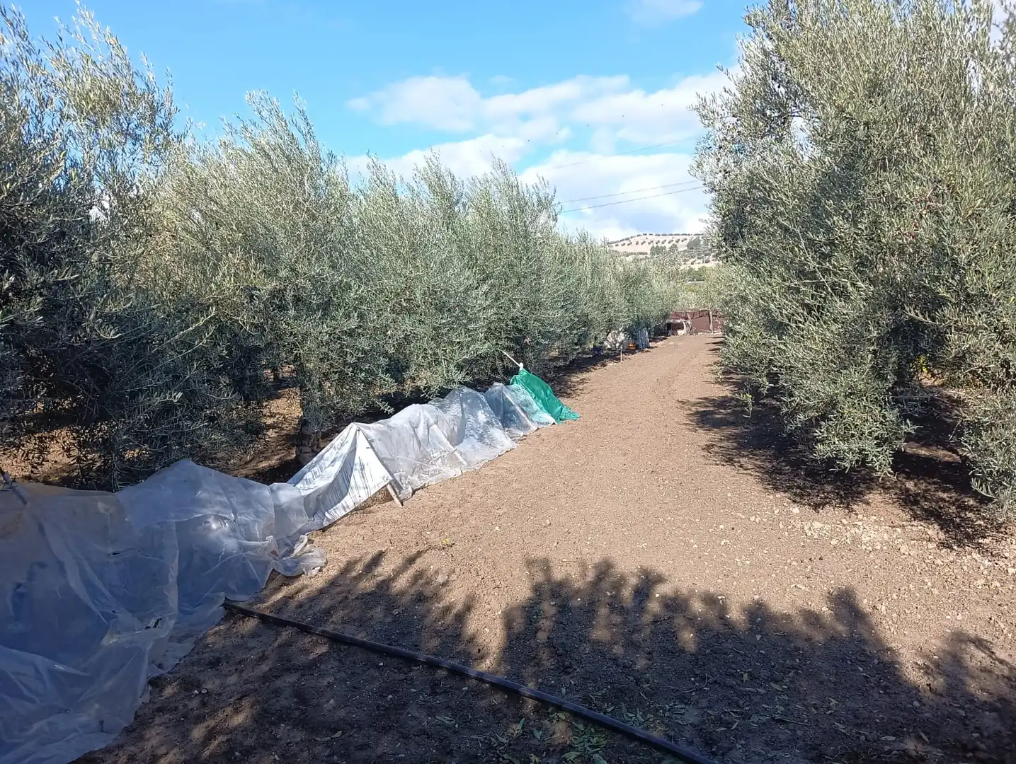 Rustikales Grundstück zum Verkauf in Camino Anzola, imagen 4