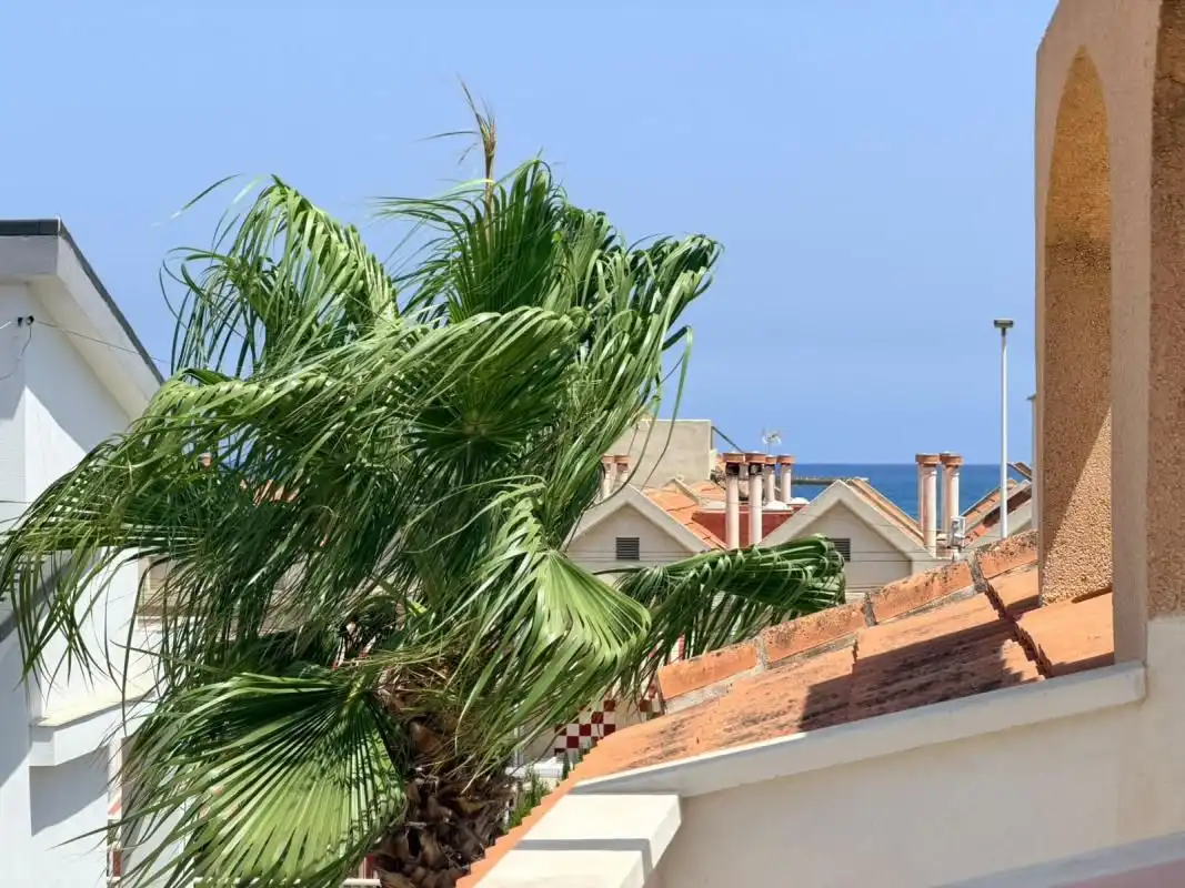 Bungalow in vendita a La Mata, imagen 19