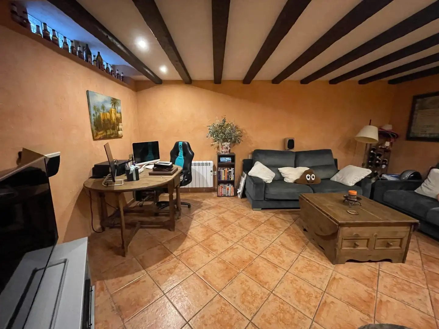 Detached homes for sale in Elche / Elx