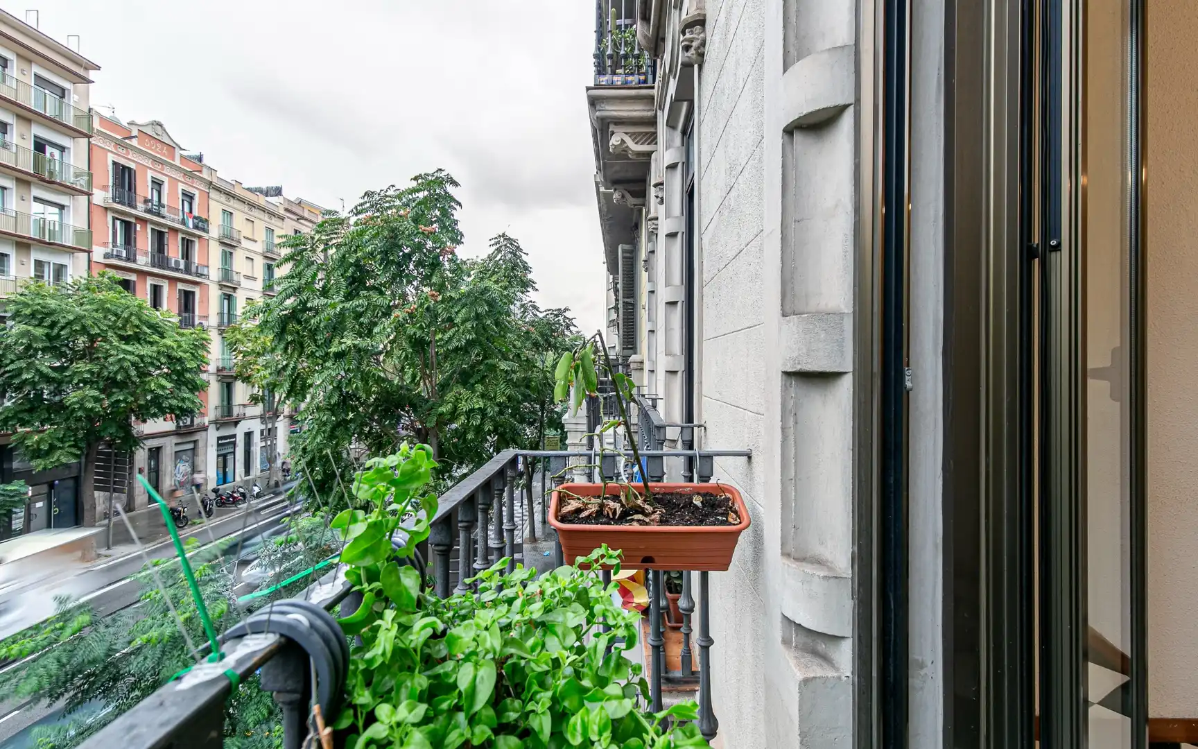 Wohnung mit Terrasse zum Verkauf in Aragó, imagen 3