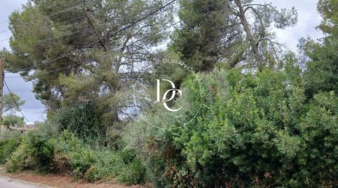 Parcela de 849 m2 en venta en Can Suria, Olivella, immagine 2