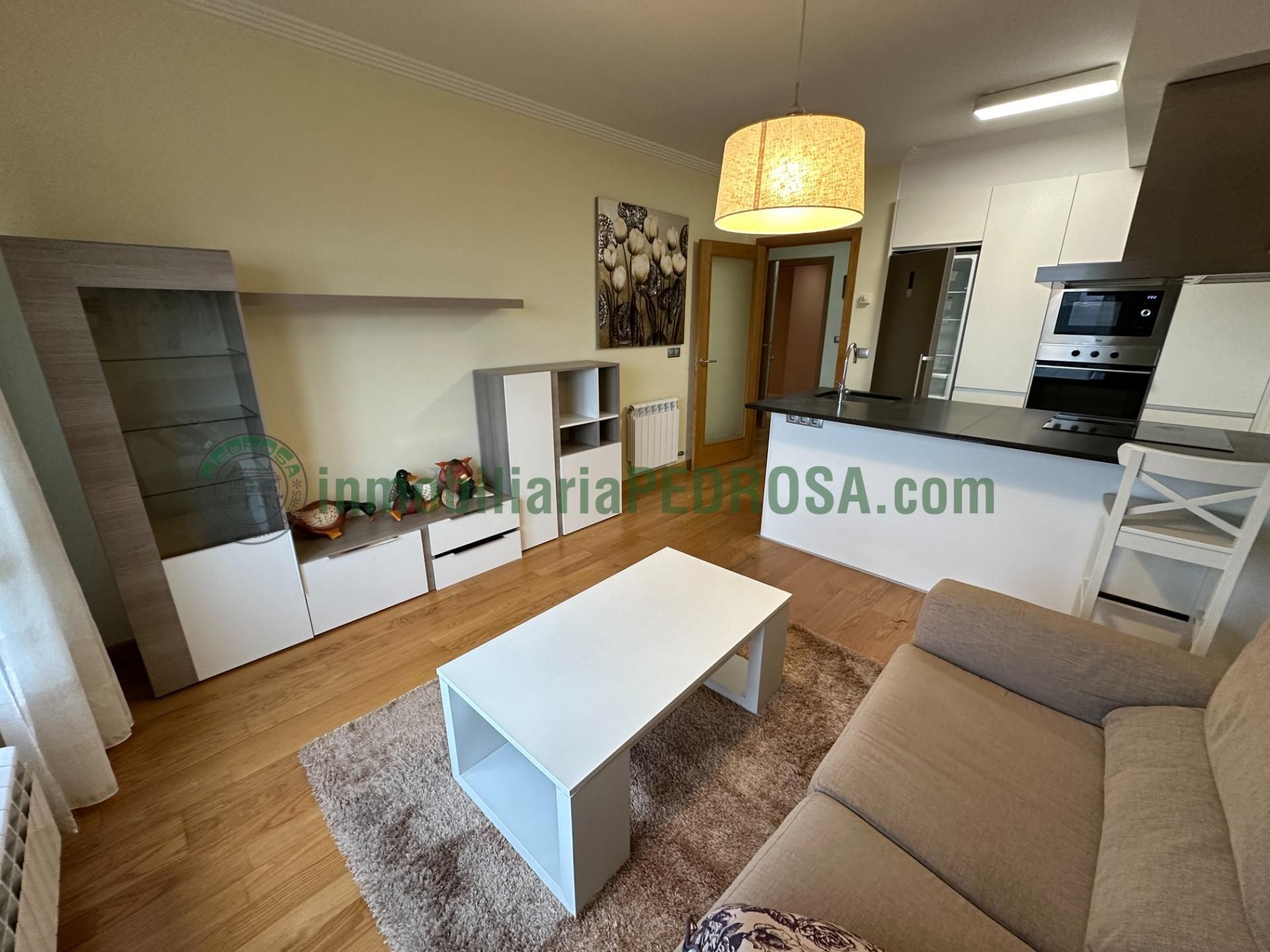 Sala d'estar de Àtic de lloguer en Pontevedra Capital  amb Calefacció i Traster