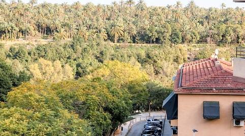 Foto 4 de Pis en venda a Camí dels Magros - Casablanca, Elche / Elx