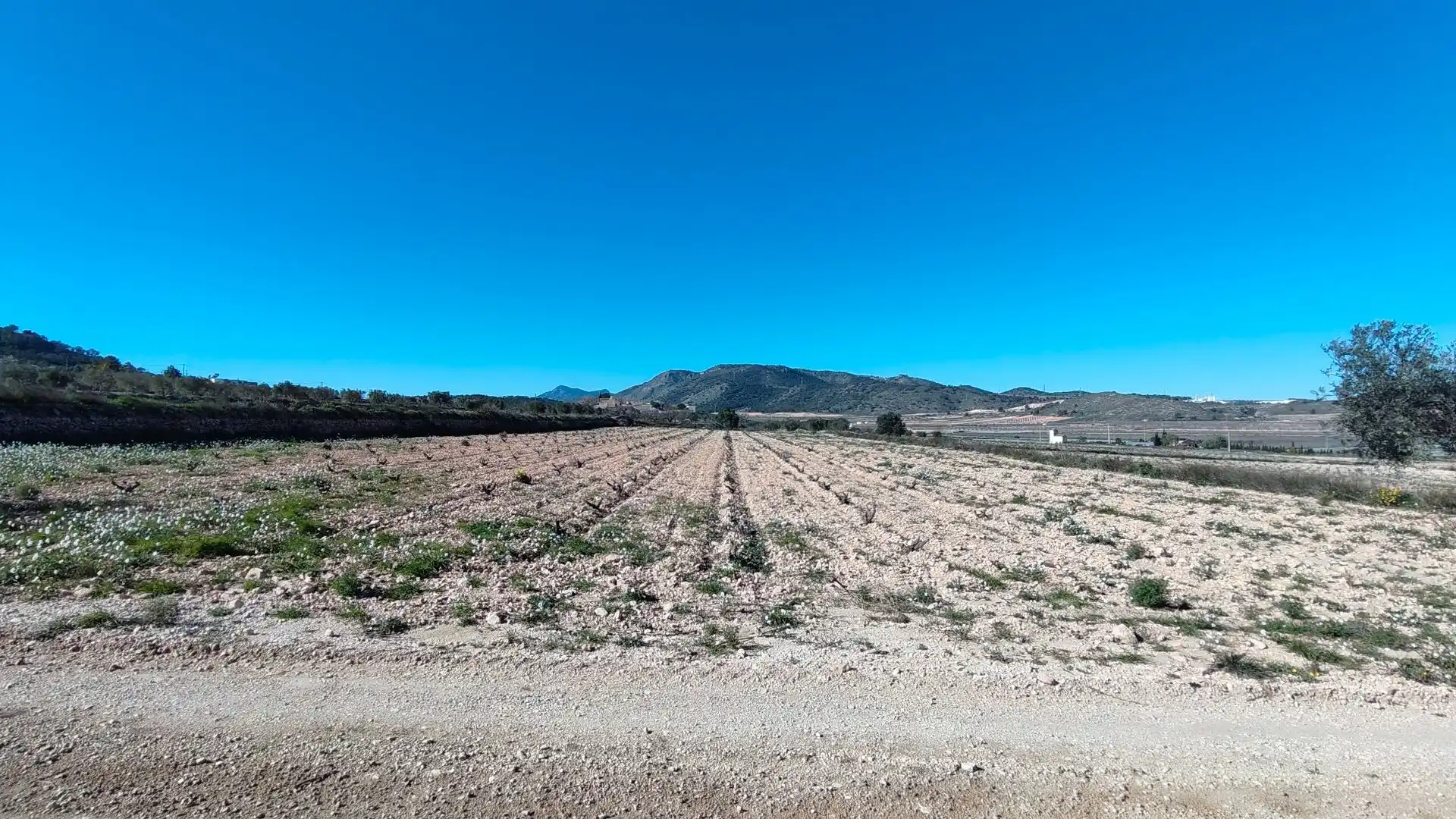 Lands and plots for sale in Abanilla, imagen 8