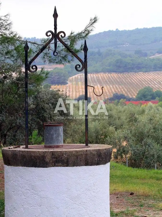 Country homes for rent in Centro